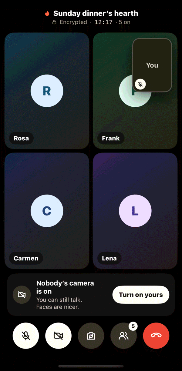 A video call with Rosa, Frank, Carmen and Lena.