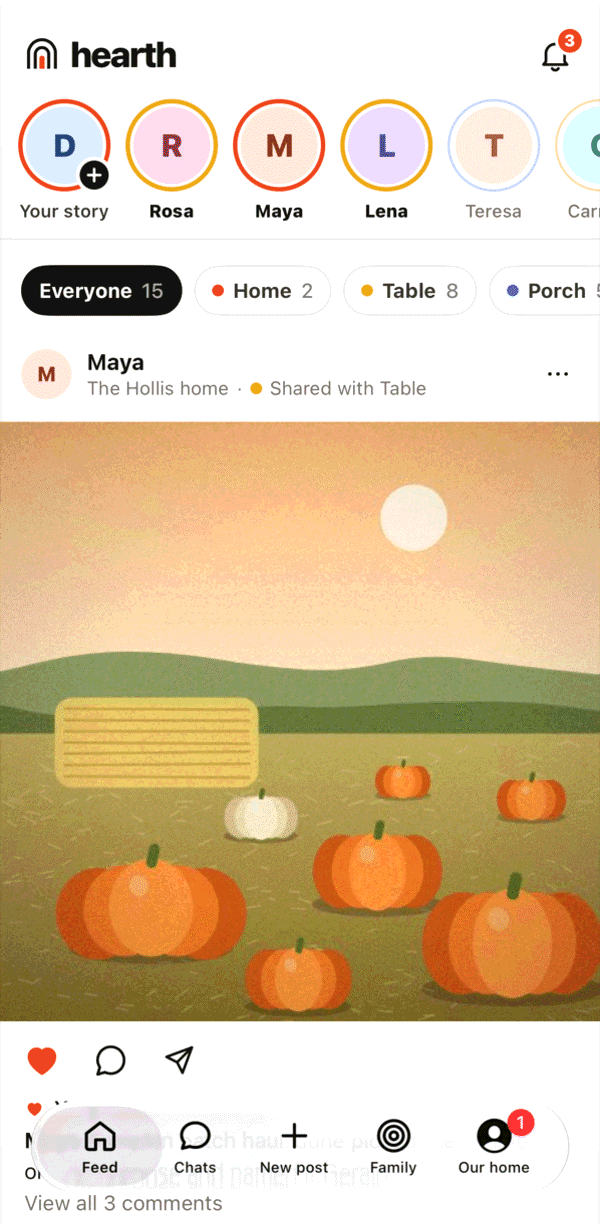 The story row at the top of the feed, with colored circles for each person.